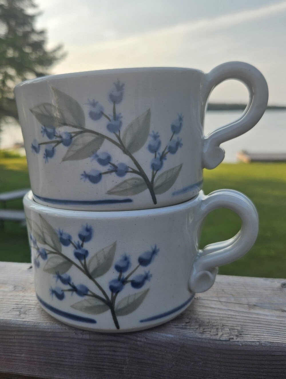 Blueberry Soup Mugs -- Set of 2